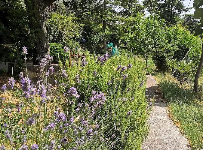 Rosemarin Apartamento *