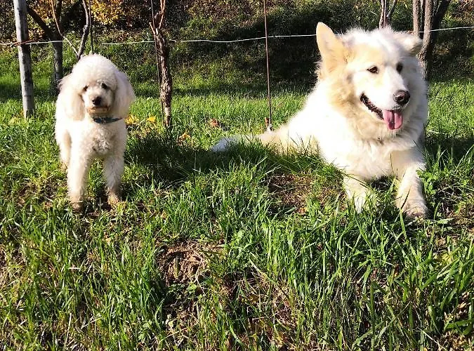 Rosemarin Apartamento Koper